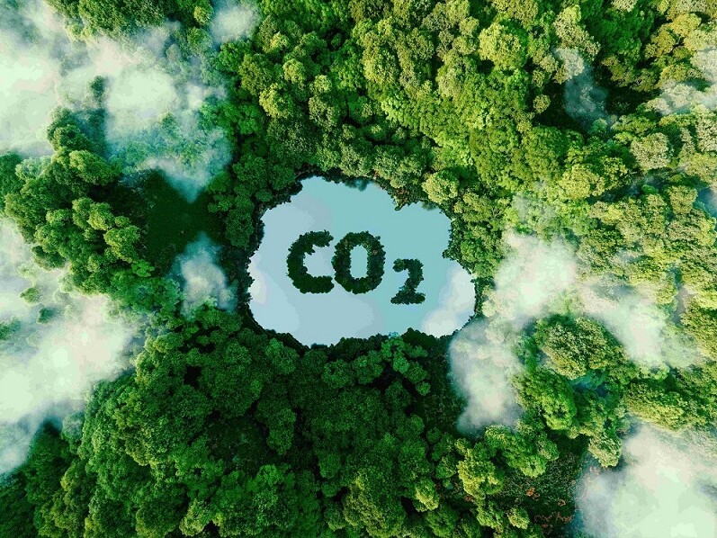 Schriftzug CO2 in einem Wald. Gesehen ist der Schriftzug aus der Vogelperspektive.